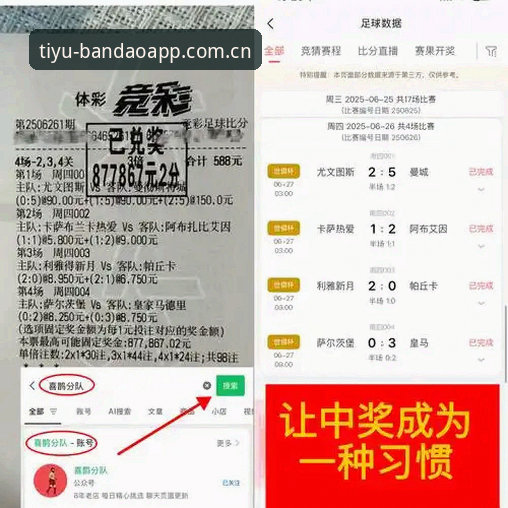 半岛综合平台新手实用指南：轻松掌握独家资讯与竞彩技巧